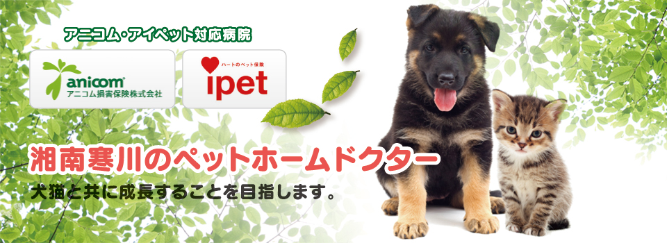 こじま動物病院