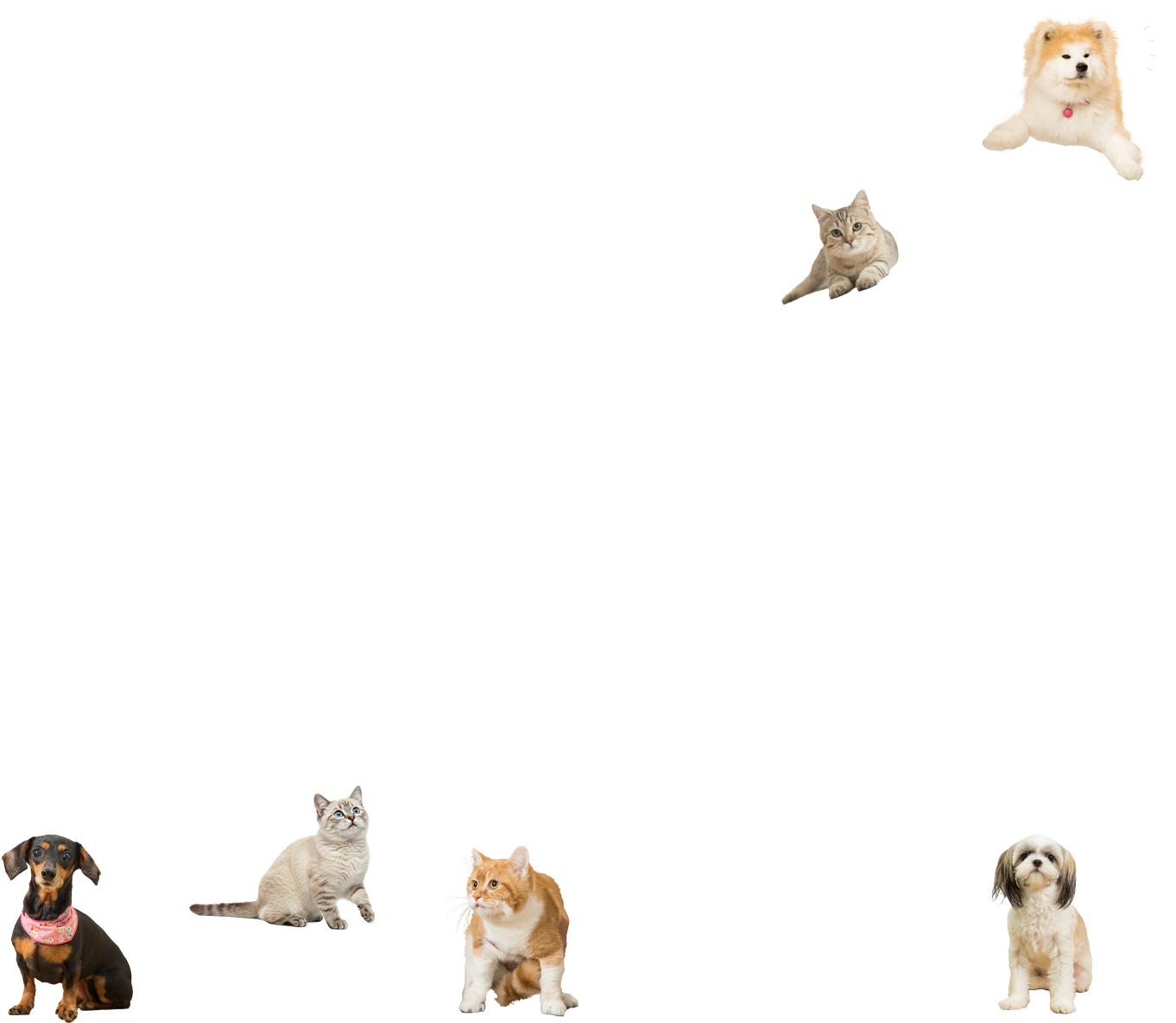 たぢか動物病院