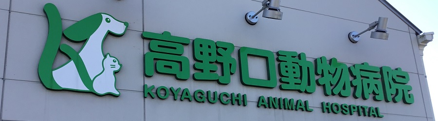 高野口動物病院