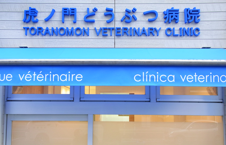 虎ノ門どうぶつ病院