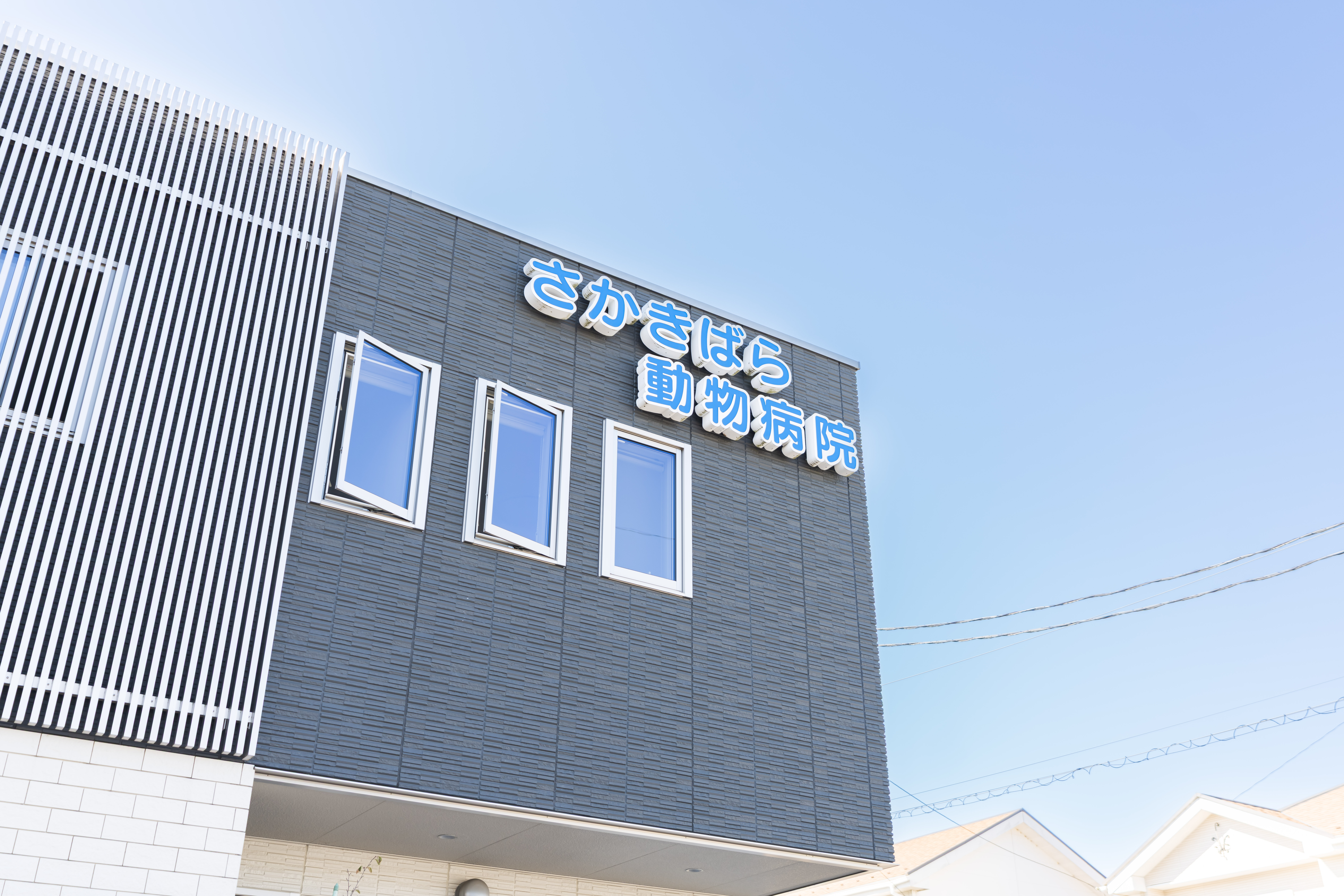 さかきばら動物病院