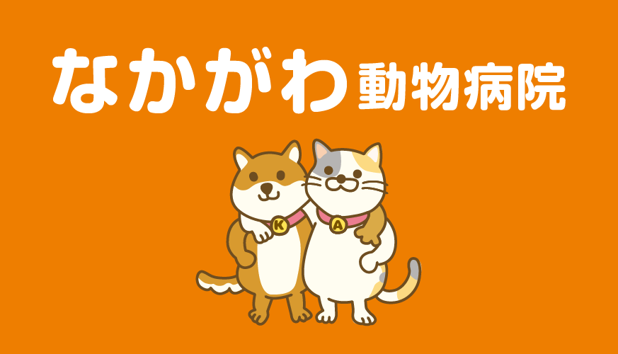 なかがわ動物病院