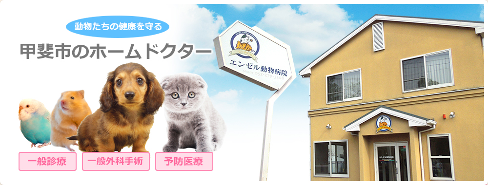 エンゼル動物病院