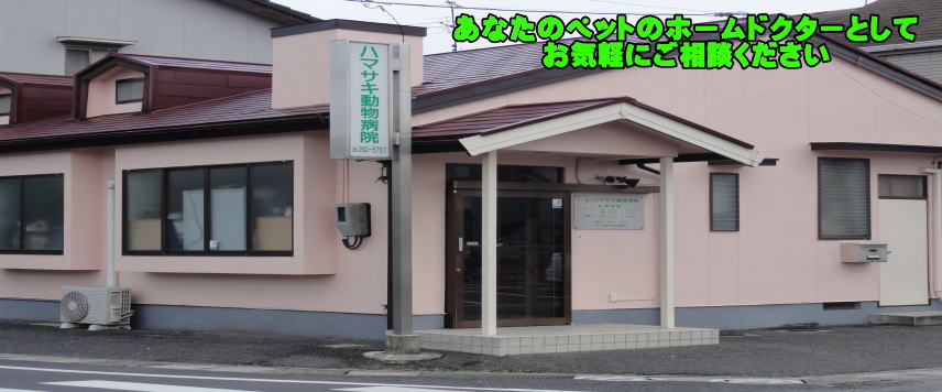 ハマサキ動物病院