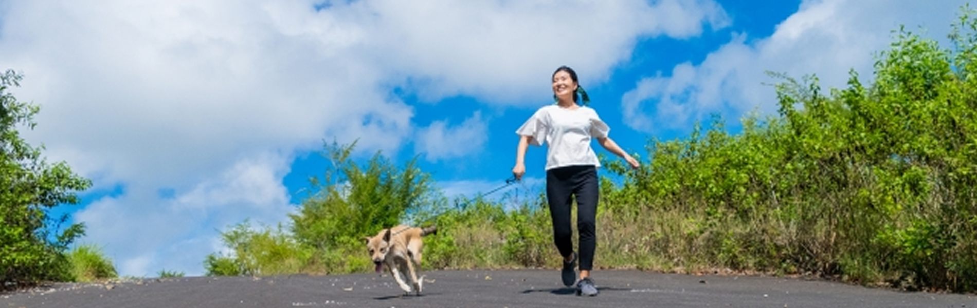 アリウ記念動物病院