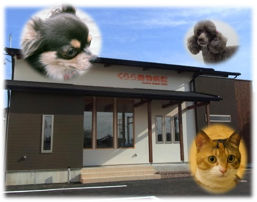 くらら動物病院