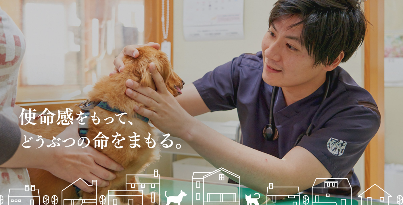 どうぶつ園通りの動物病院