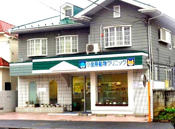 小金原動物クリニック