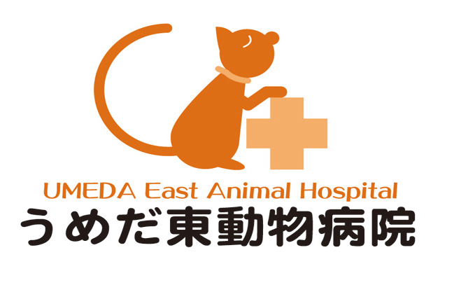 うめだ東動物病院