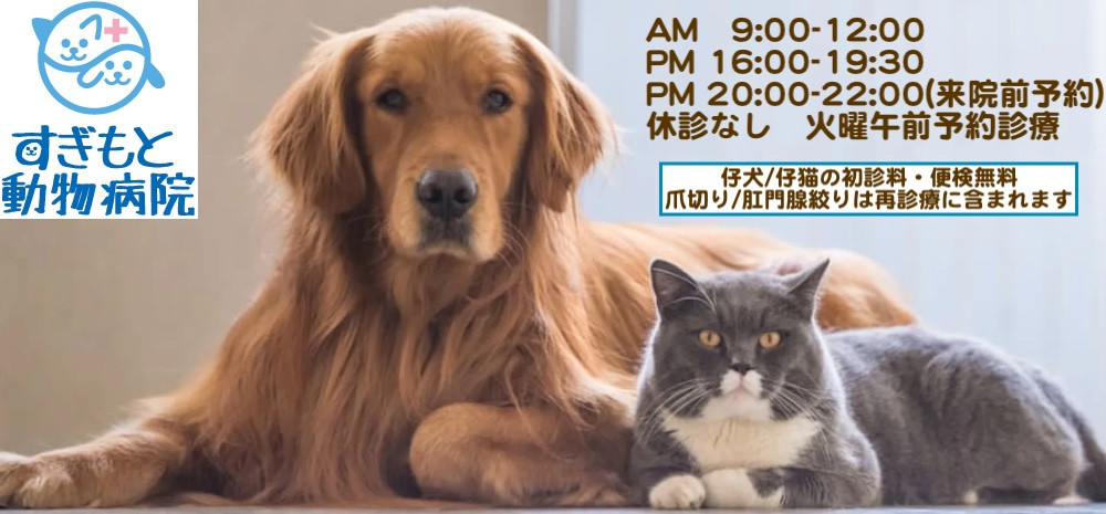 すぎもと動物病院