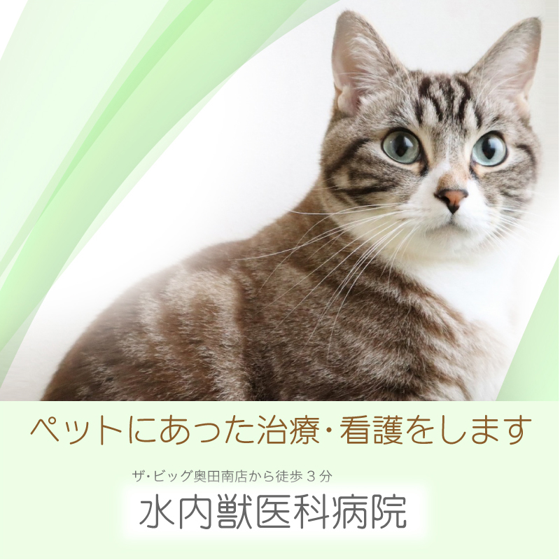 水内獣医科病院