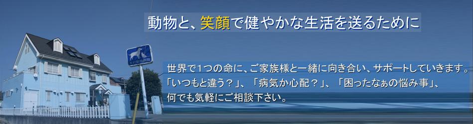 木村動物病院