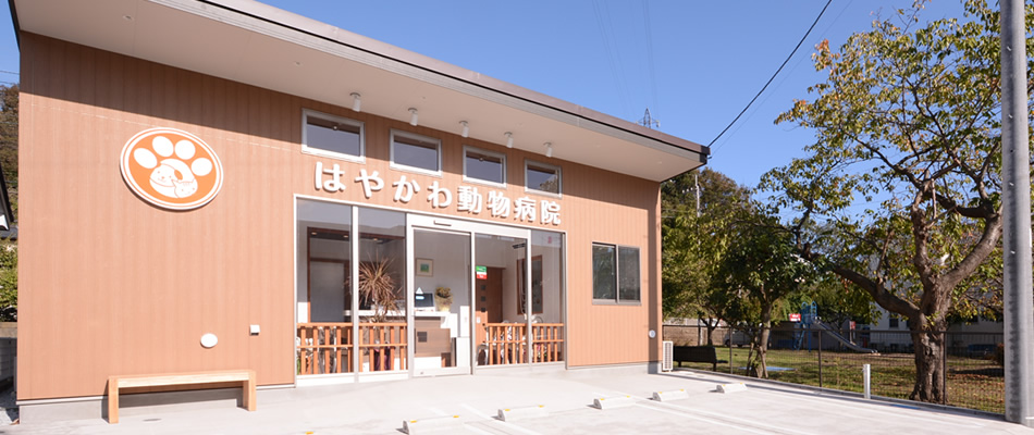 はやかわ動物病院