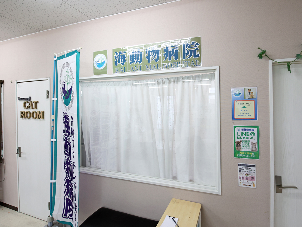 海動物病院　名古屋みなと往診所