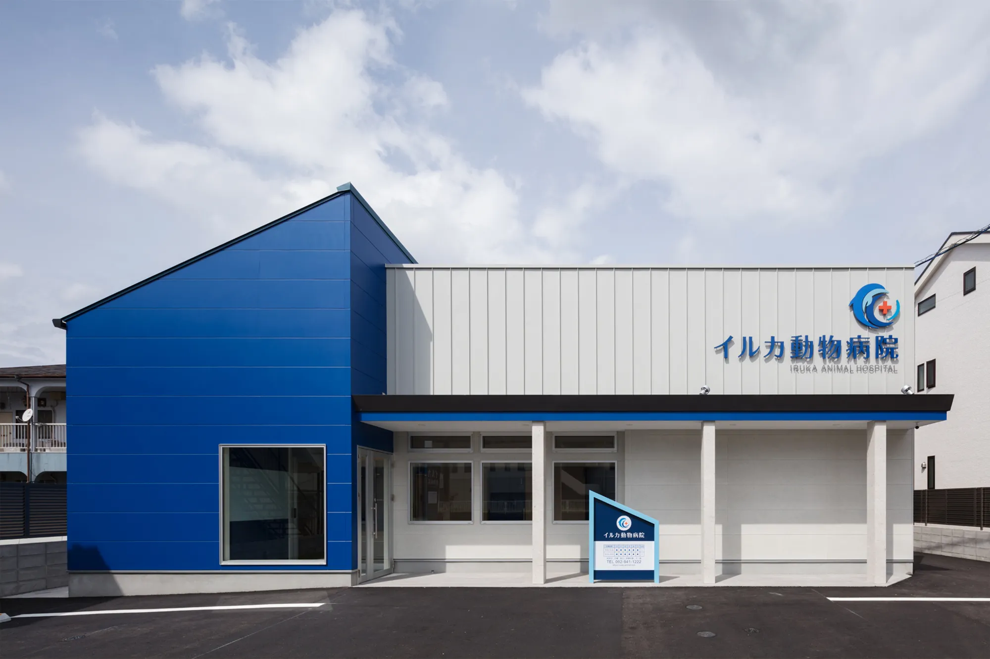 イルカ動物病院