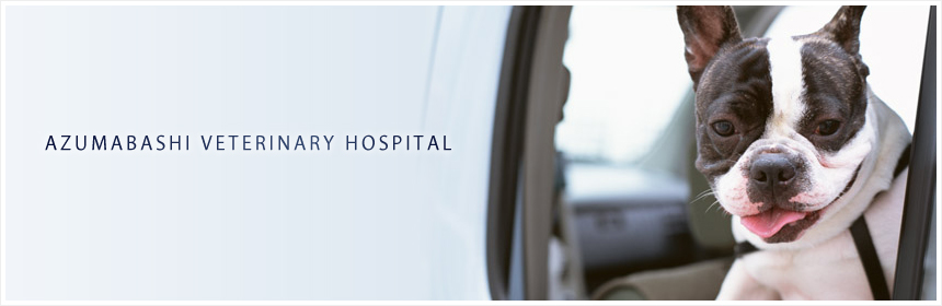 吾妻橋動物病院