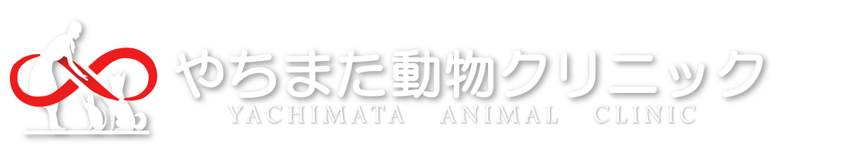 やちまた動物クリニック