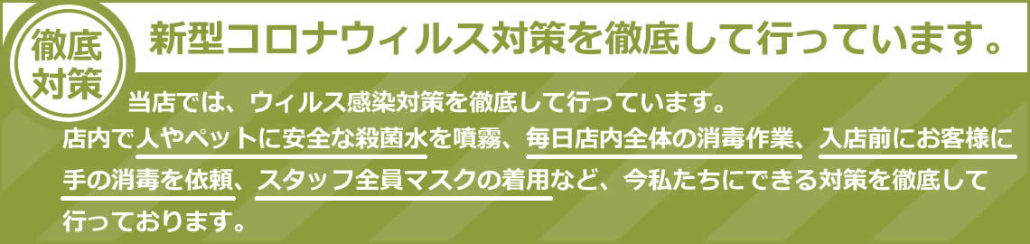 イシハラドッグサ...