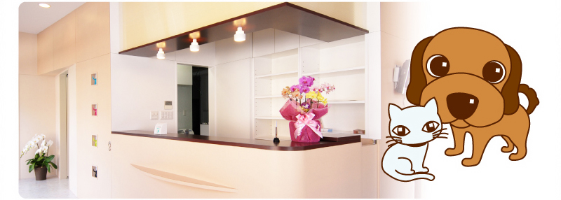 アニマルクリニックちば