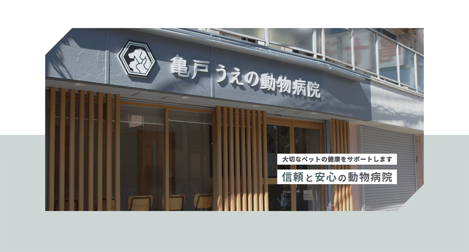 亀戸うえの動物病院