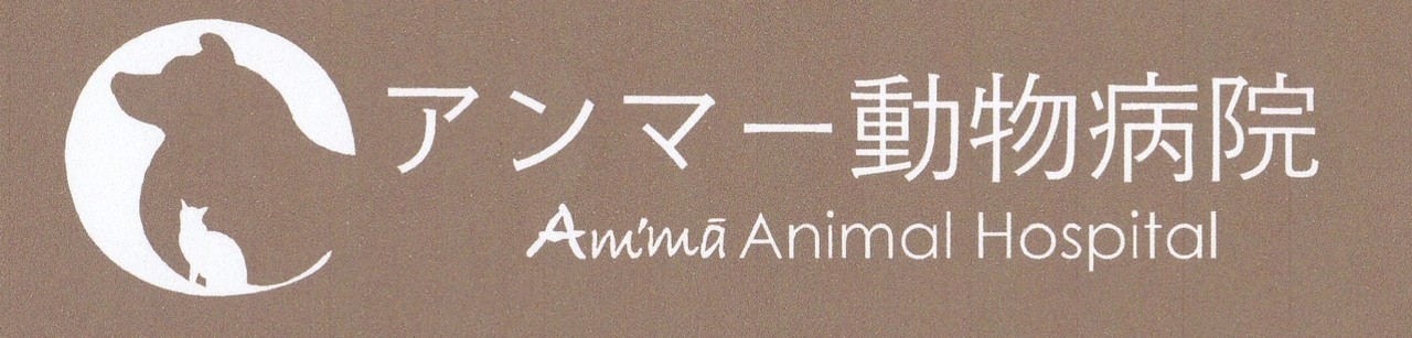 アンマー動物病院