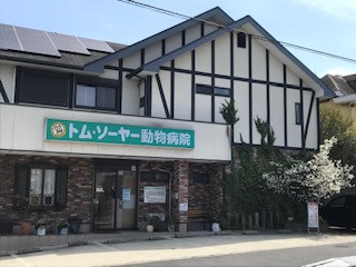 トム・ソーヤー動物病院