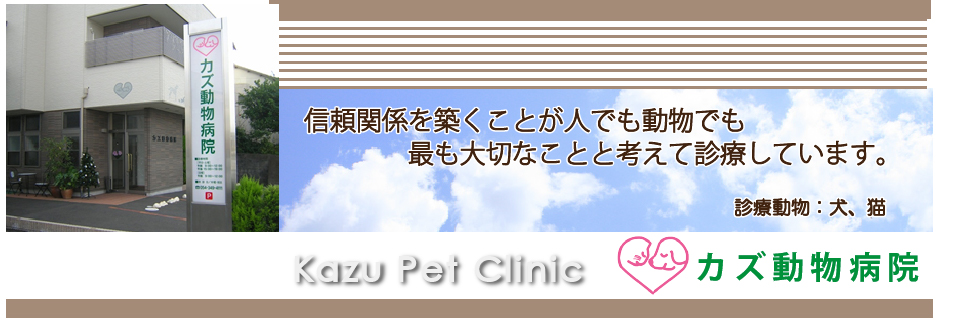 カズ動物病院