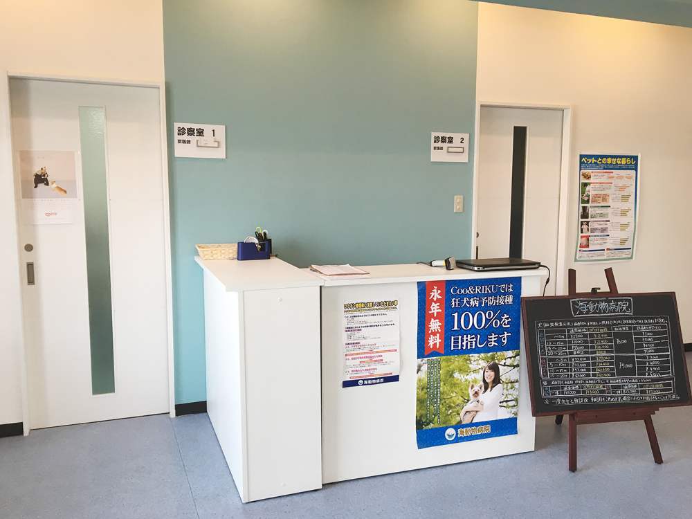 海動物病院　大分往診所