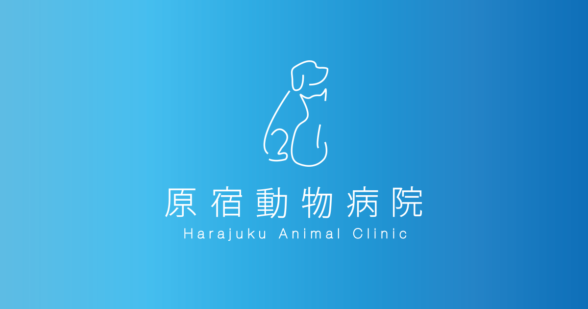 原宿動物病院