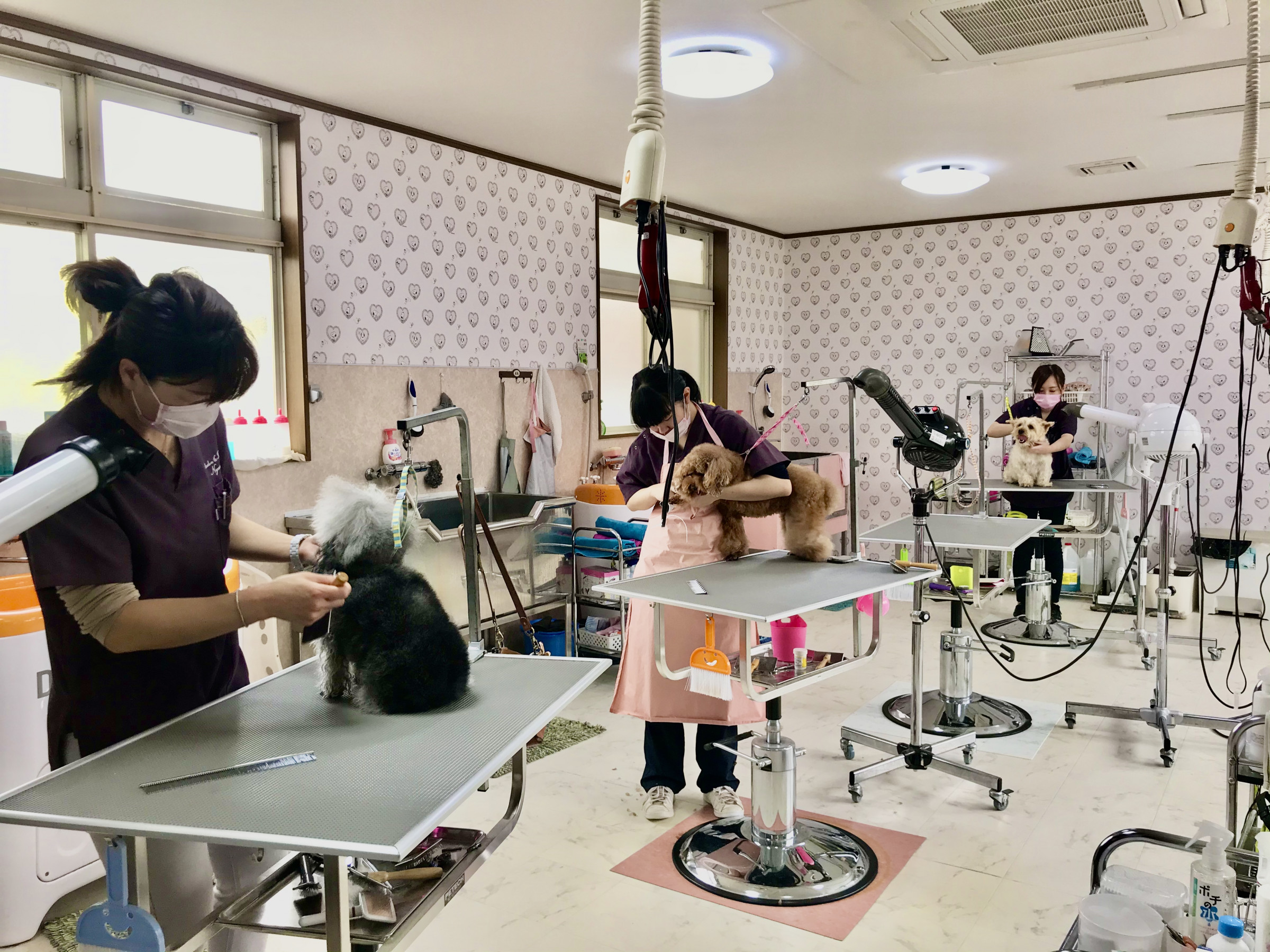 ペットサロンにゅうにゅう