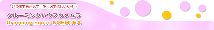 グルーミングハウ...