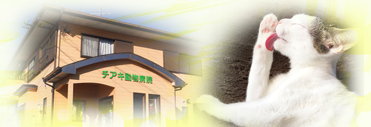 チアキ動物病院