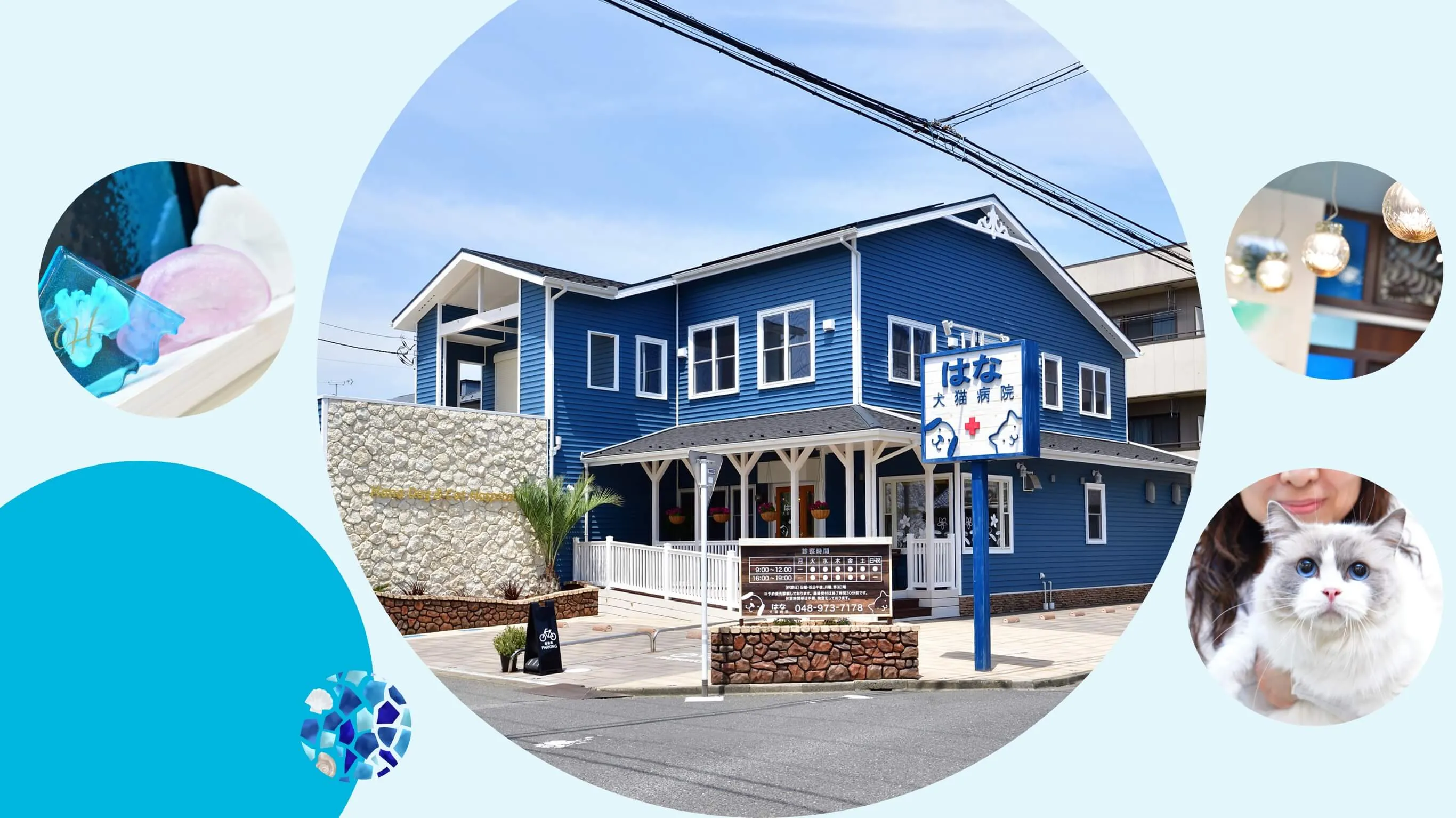 はな犬猫病院