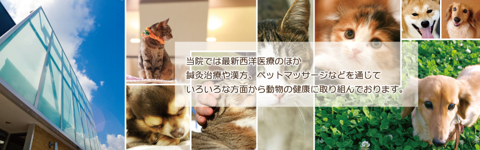 ますだ動物クリニック