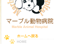 マーブル動物病院