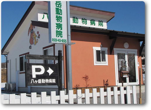 八ヶ岳動物病院