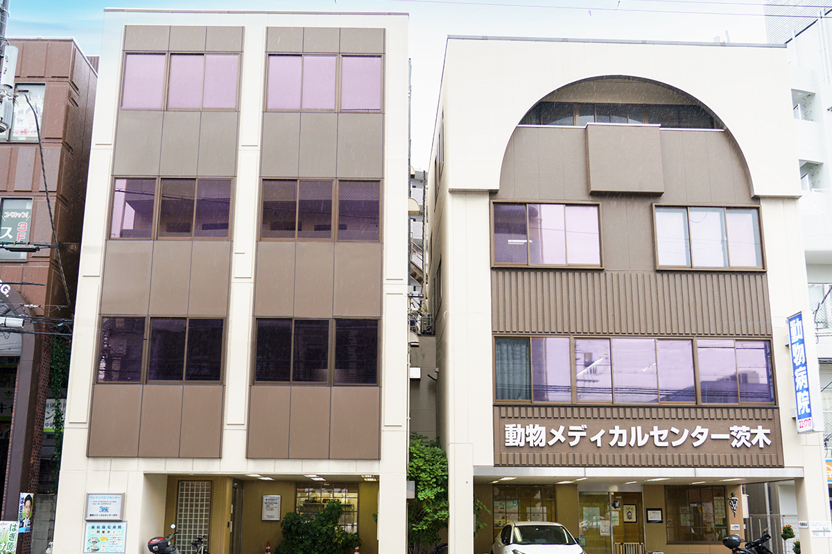 動物メディカルセンター茨木