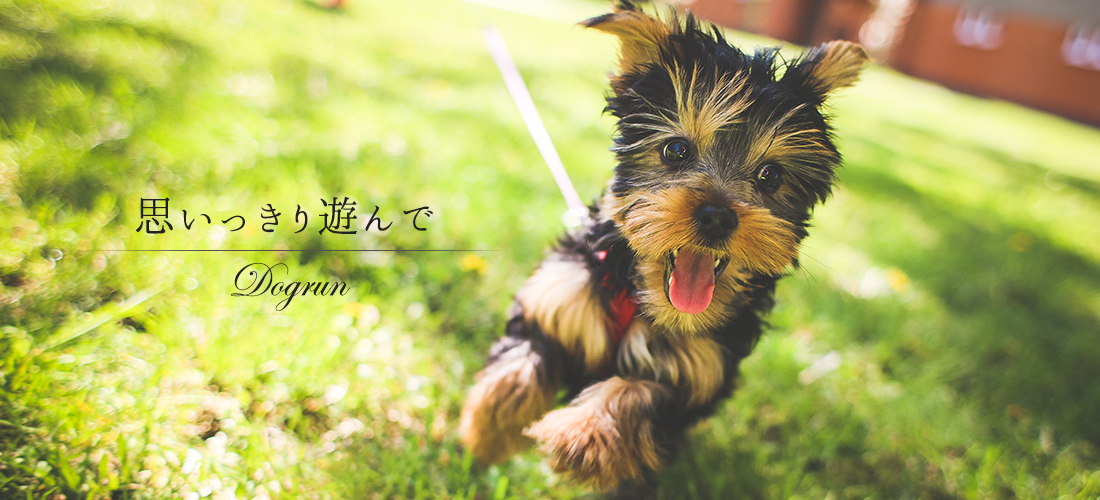 ＤｏｇＢｏｘ／東長崎店