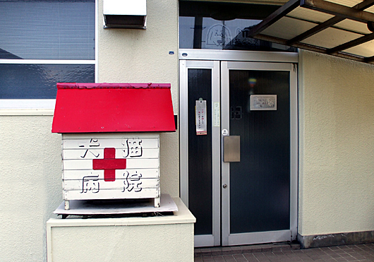 愛犬クリニック村上