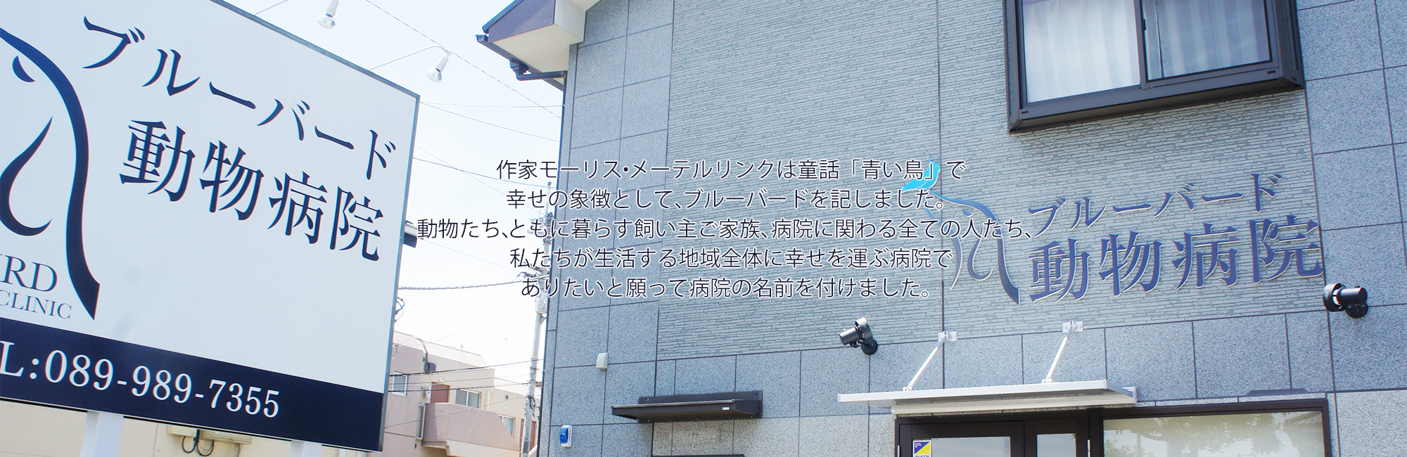 ブルーバード動物病院