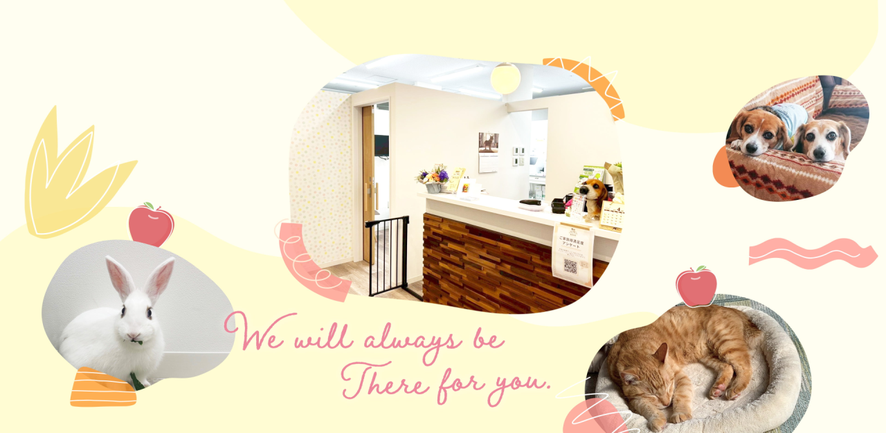 みたかマロン動物病院