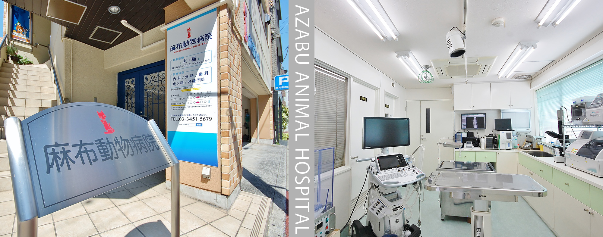 麻布動物病院