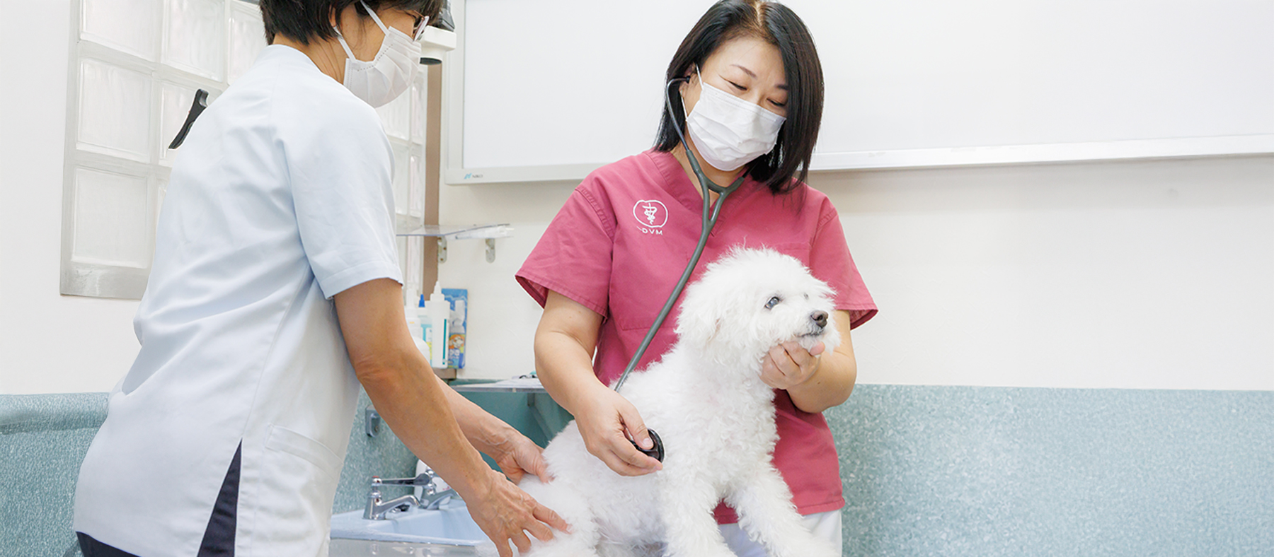 かざまペットクリニック