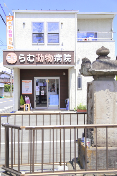 らむ動物病院