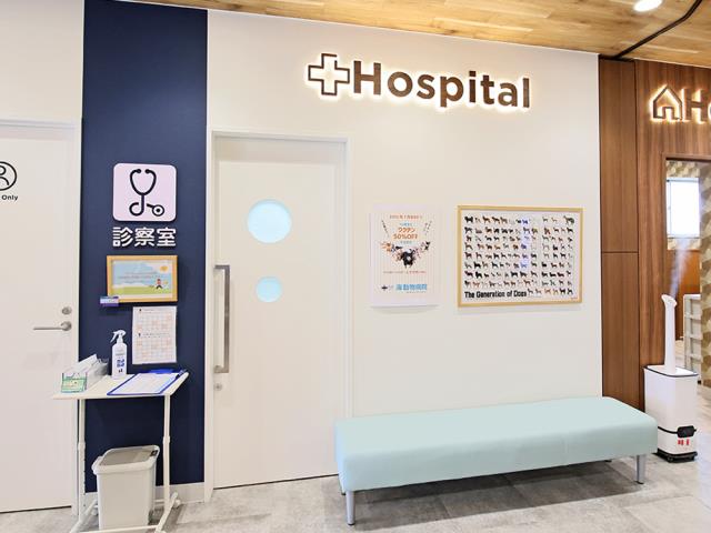 海動物病院　草加バイパス往診所