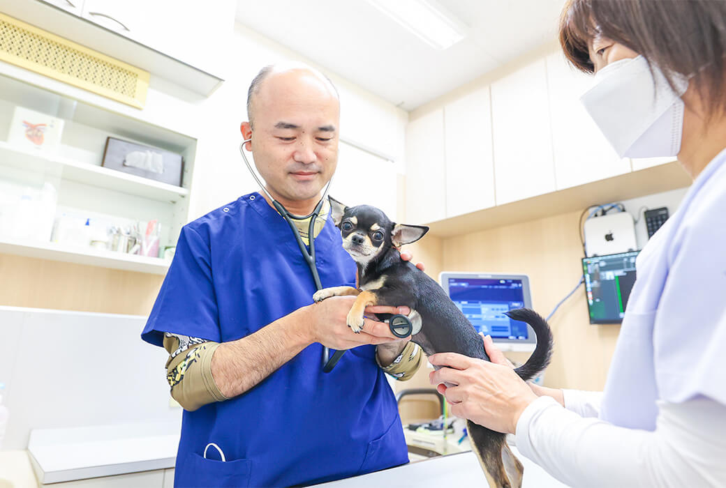 すぎうらペットクリニック