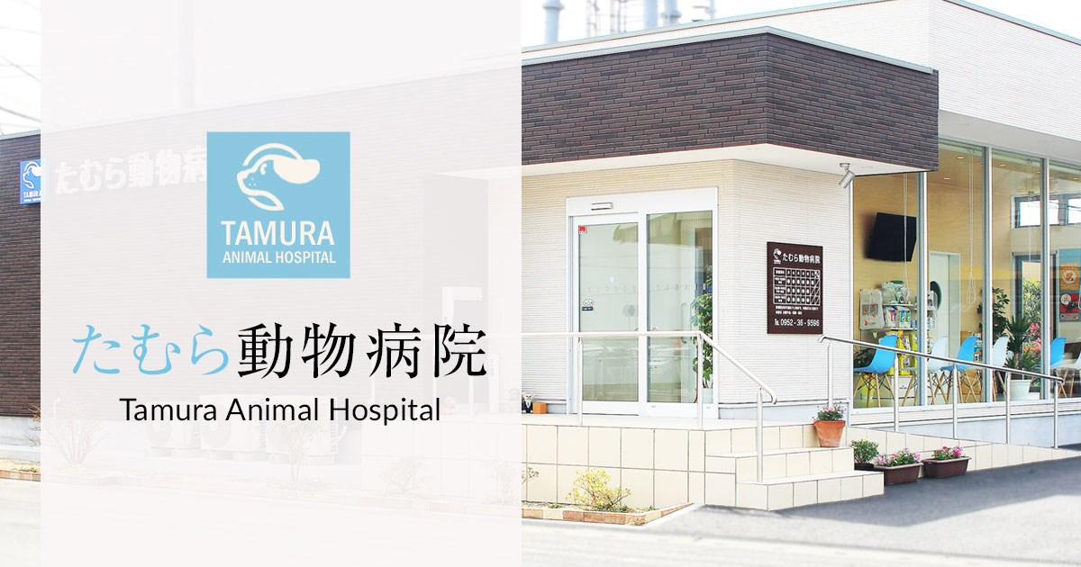 たむら動物病院