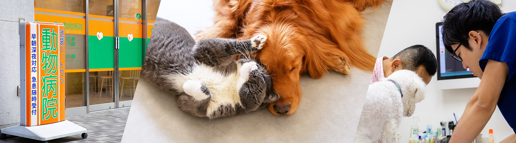 ハートワン動物病院   総合医療ケアセンター