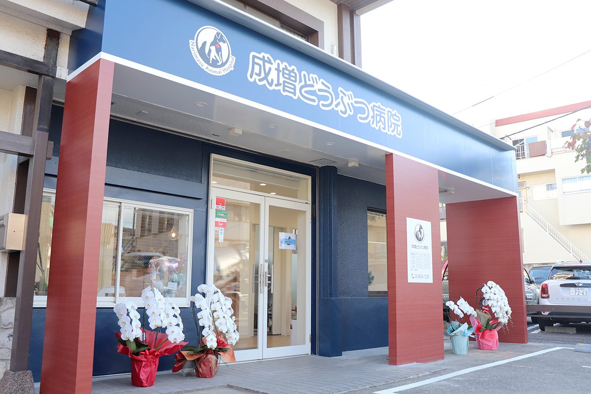成増どうぶつ病院