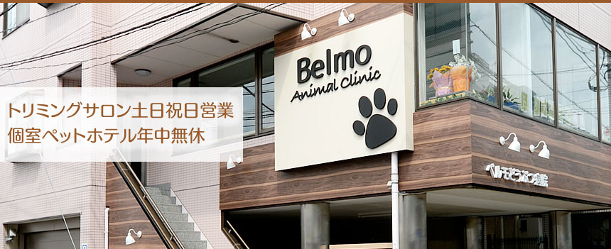 ベルモどうぶつ病院